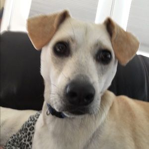 10 dollar sale pick 1 pick 2 or pic 3 for 25$